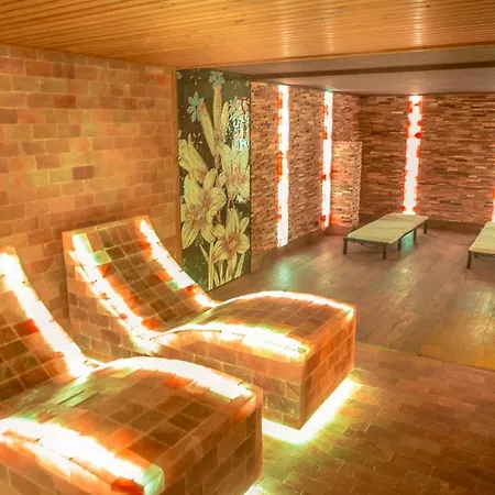 Wellness Astra 4* Špindlerŭv Mlýn