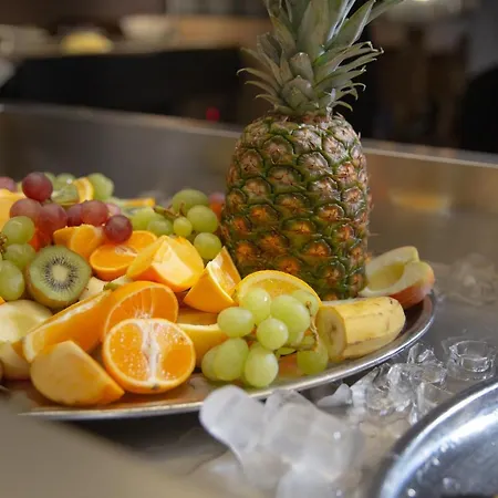 Wellness Astra فندق 4*