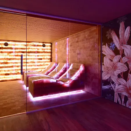 فندق Wellness Astra Špindlerŭv Mlýn