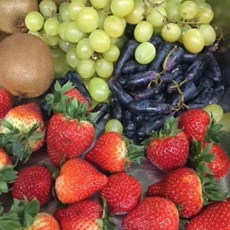 Wellness Astra فندق Špindlerŭv Mlýn