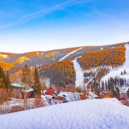 Szálloda Wellness Astra 4*