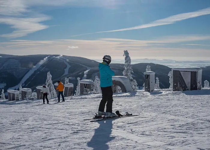 Szálloda Wellness Astra 4*