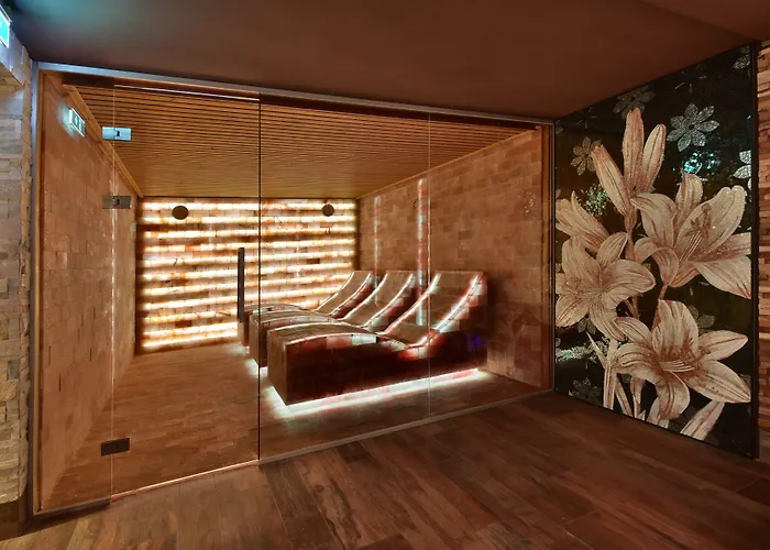 Szálloda Wellness Astra 4*