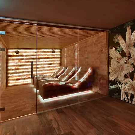فندق Wellness Astra 4*