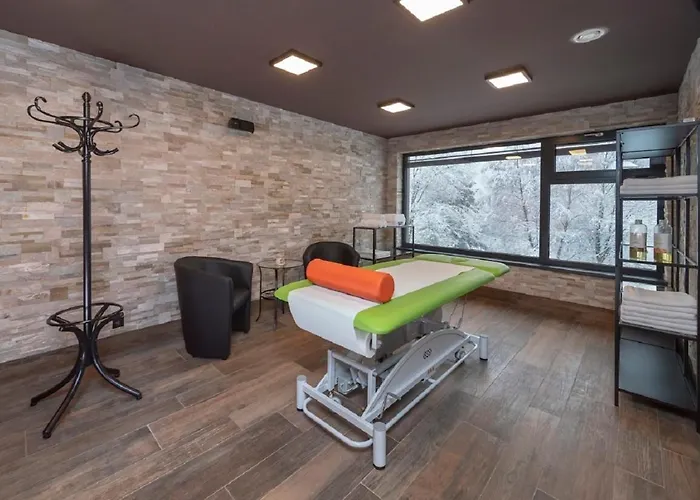 Wellness Astra 酒店 Špindlerŭv Mlýn