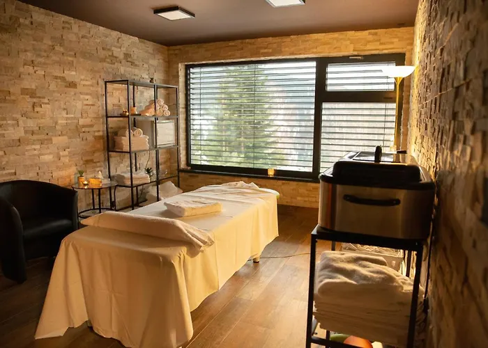 酒店 Wellness Astra 4*