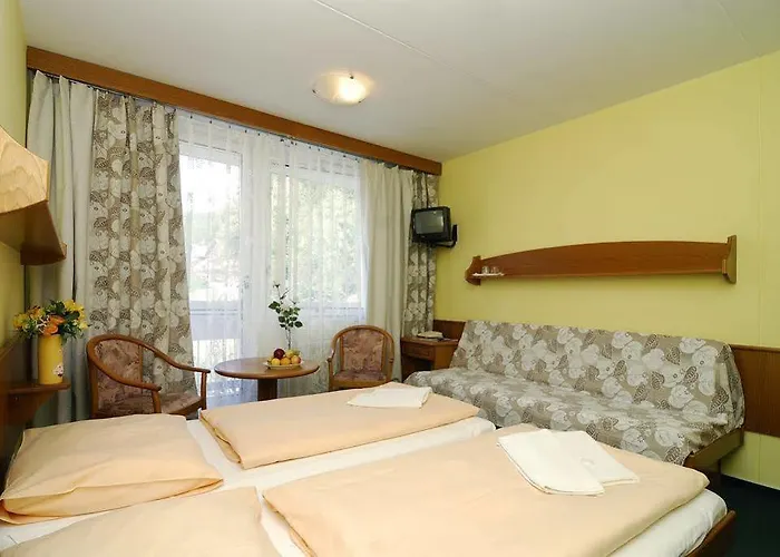 酒店 Wellness Astra